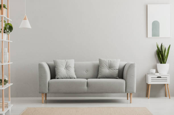 Insolito Мебель | Как ухаживать за диваном, защитить от пятен домашних питомцев и пыли